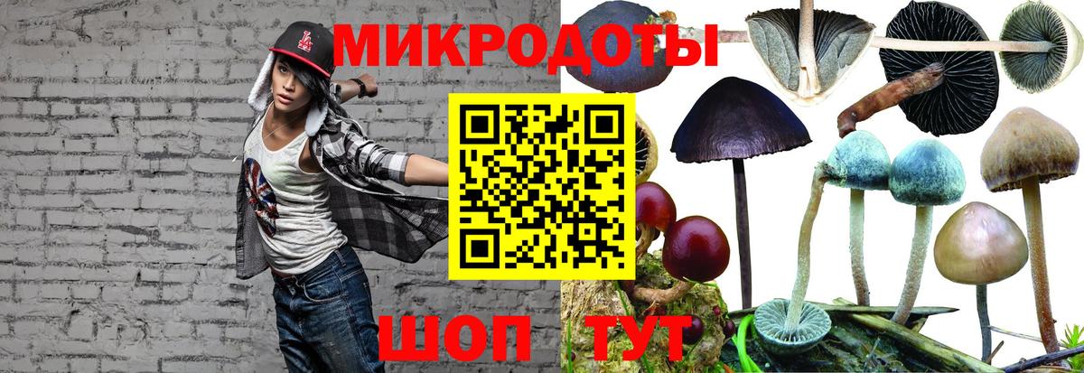 Галлюциногенные грибы Psilocybe Благодарный