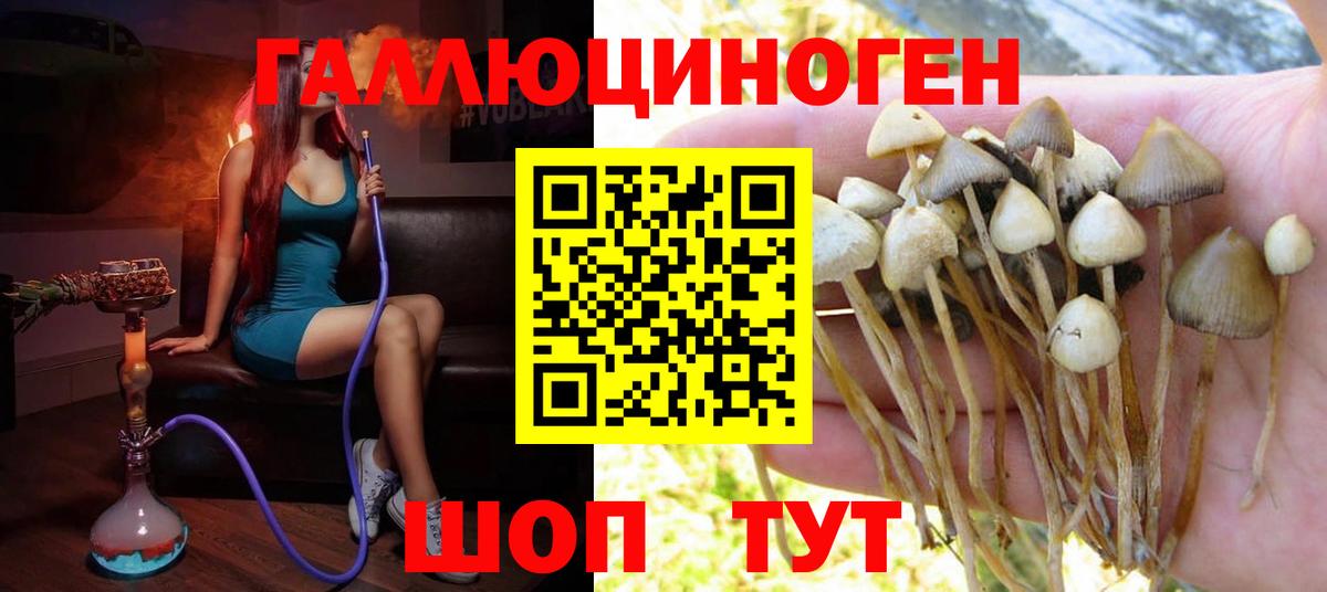 Галлюциногенные грибы Magic Shrooms  Вход с VPN  Галлюциногенные грибы мухоморы  Благодарный 